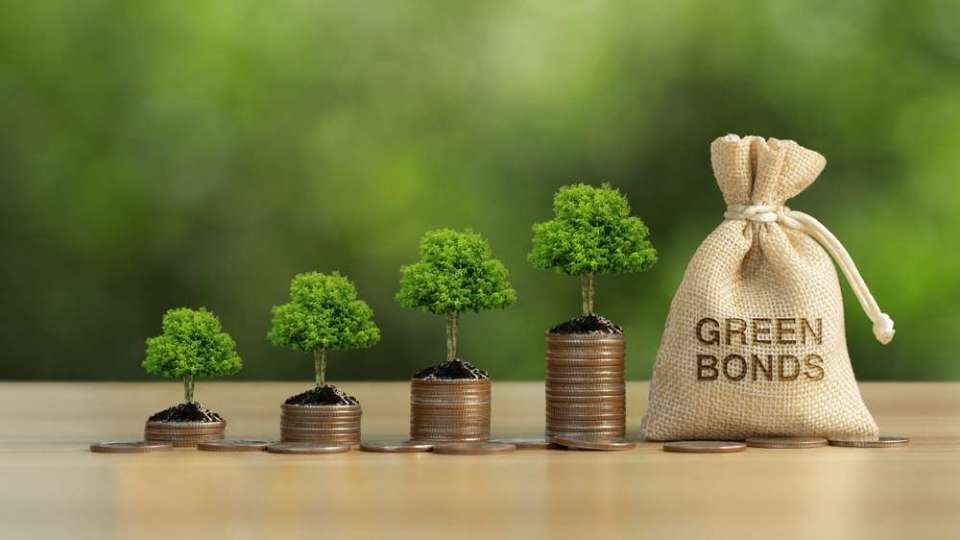 綠色債券回報全攻略：高達4.75%？專家教你如何計算與買賣
